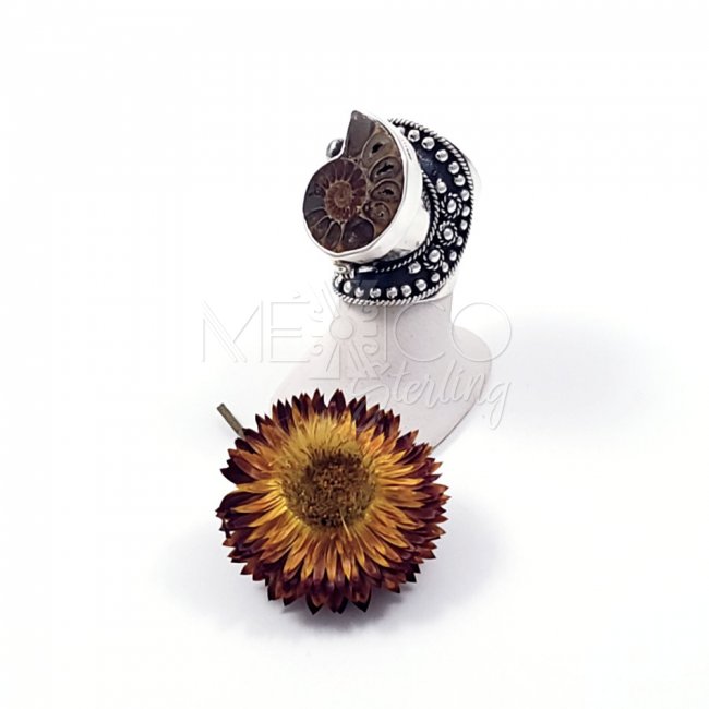 Amazing Silver Ammonite Poison Ring - Click Image to Close