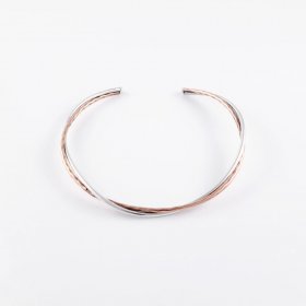Beauty in Silver and Copper Choker