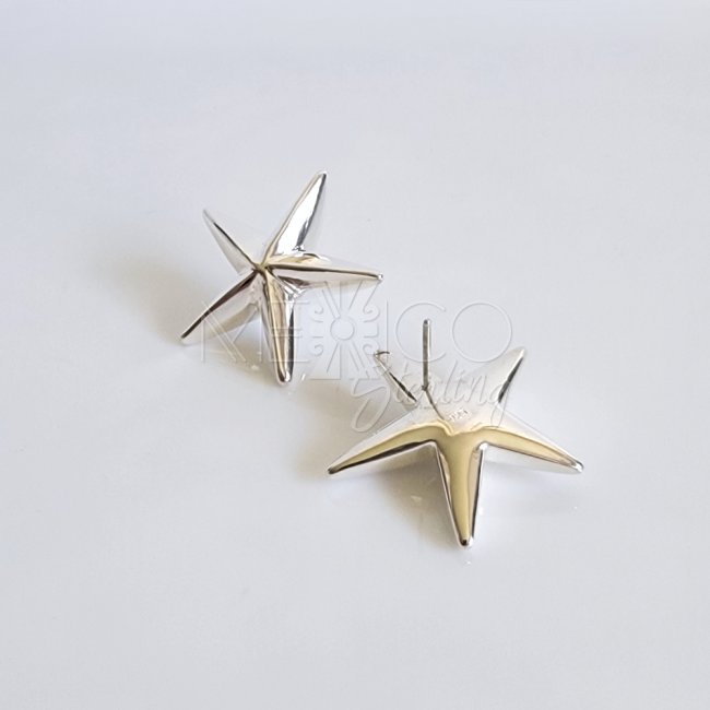 Bold Silver Five Point Star Post Earrings
